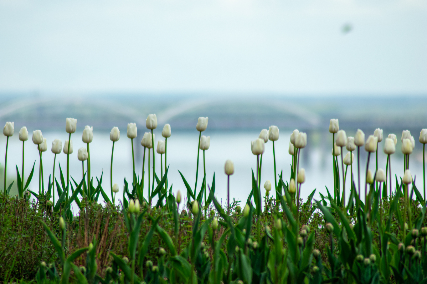 malaysia landscape photographer