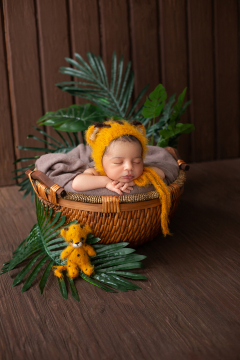 newborn photographer malaysia