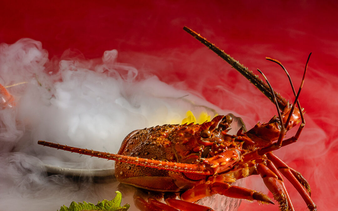 The Reasons Why Photographers Use Vinyl Backdrops for Food Photography