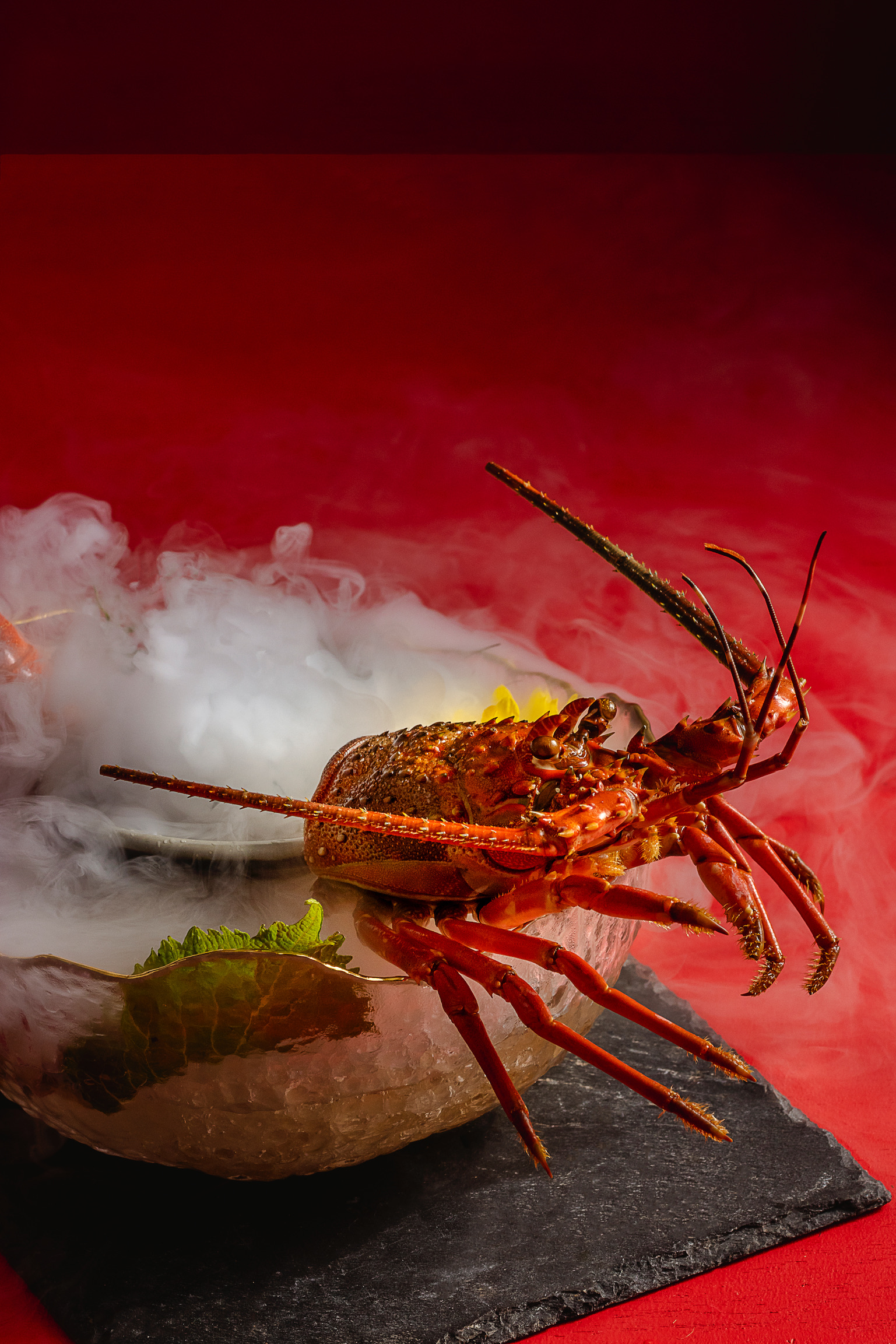 food photography wood background