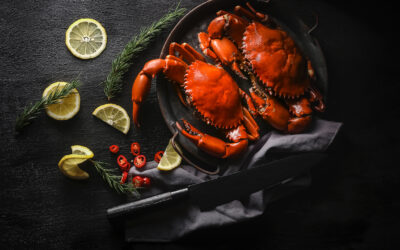 Master the Art of Food Photography Composition with Proven Tips for Stunning Shots